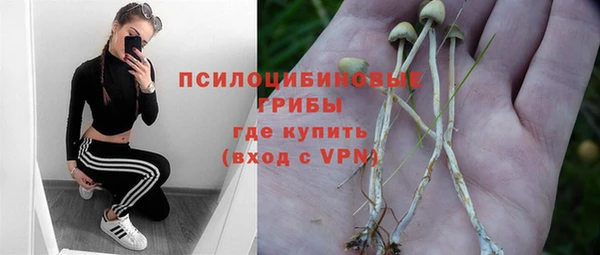 ГАЛЛЮЦИНОГЕННЫЕ ГРИБЫ Дмитровск