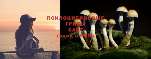 ГАЛЛЮЦИНОГЕННЫЕ ГРИБЫ Дмитровск