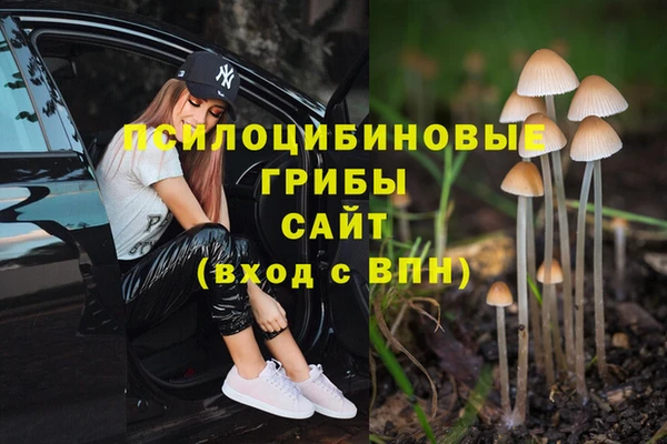 ГАЛЛЮЦИНОГЕННЫЕ ГРИБЫ Дмитровск