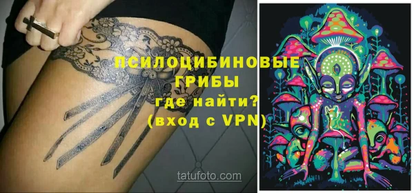 ГАЛЛЮЦИНОГЕННЫЕ ГРИБЫ Дмитровск