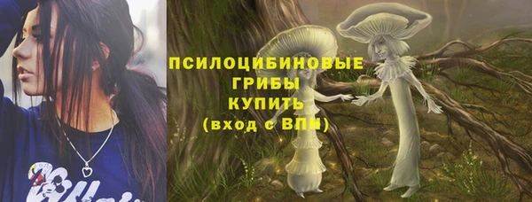 ГАЛЛЮЦИНОГЕННЫЕ ГРИБЫ Дмитровск