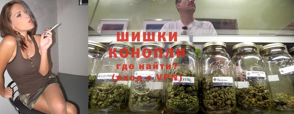 ГАЛЛЮЦИНОГЕННЫЕ ГРИБЫ Дмитровск