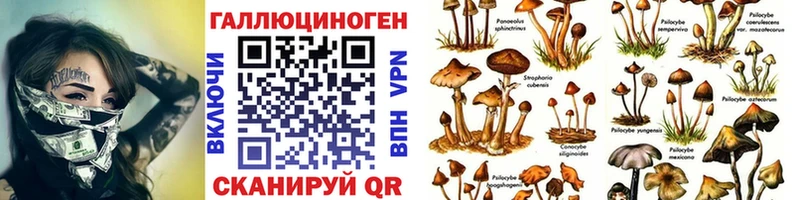 Галлюциногенные грибы прущие грибы  Купить  Мостовской 